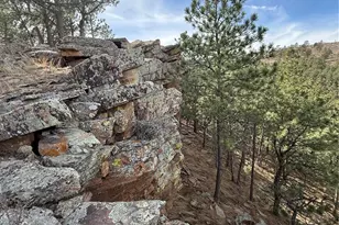 433 Gunn Ave, Berthoud, CO 80513 - Photo 16