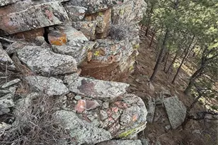 433 Gunn Ave, Berthoud, CO 80513 - Photo 18