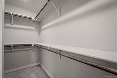 6313 Scrabble View, Colorado Springs, CO 80924 - Photo 20