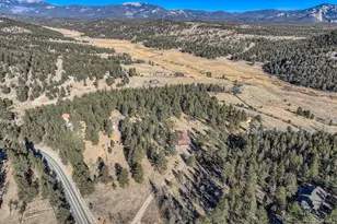 11 Old Corral Rd, Bailey, CO 80421 - Photo 30