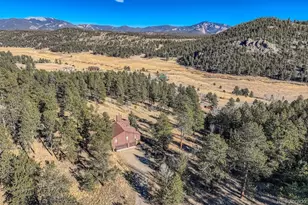 11 Old Corral Rd, Bailey, CO 80421 - Photo 26