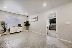 9163 Richfield St, Commerce City, CO 80022 - Photo 16