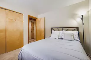 91300 Ryan Gulch Rd, Silverthorne, CO 80498 - Photo 20