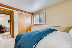 91300 Ryan Gulch Rd, Silverthorne, CO 80498 - Photo 14