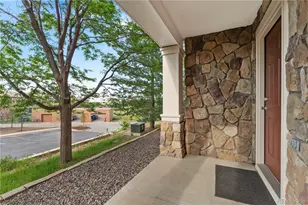 10072 Amston St, Parker, CO 80134 - Photo 28