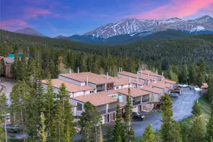 187 N Fuller Placer Road, Breckenridge, CO 80424 - Photo 48