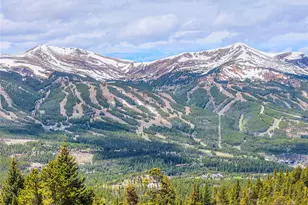 187 N Fuller Placer Road, Breckenridge, CO 80424 - Photo 30