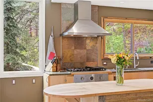 9717 S Deer Creek Canyon Rd, Littleton, CO 80127 - Photo 6