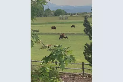 805 Waxberry Court, Loveland, CO 80538 - Photo 30