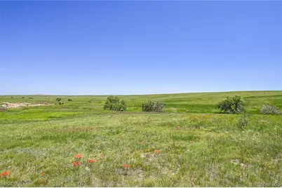 Last Dart Road, Kiowa, CO 80117 - Photo 4