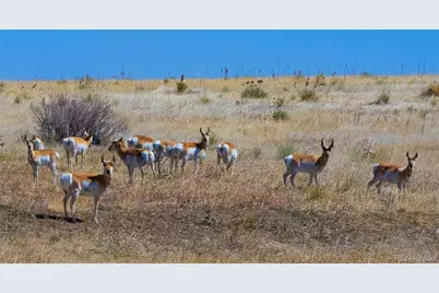 Last Dart Road, Kiowa, CO 80117 - Photo 10