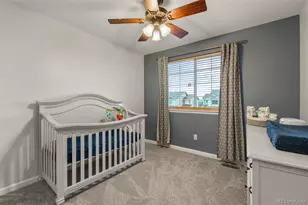 1378 Willow Oak Rd, Castle Rock, CO 80104 - Photo 30