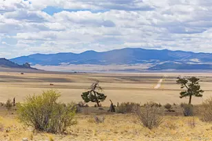 1685 Montezuma Rd, Lake George, CO 80827 - Photo 1