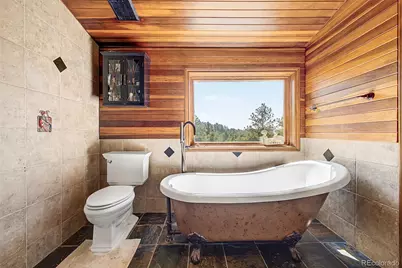 10714 Deerfield Road, Franktown, CO 80116 - Photo 14