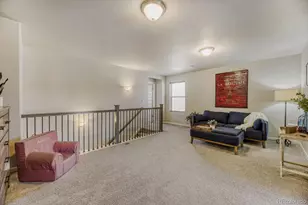 291 Sabin Way, Lochbuie, CO 80603 - Photo 12