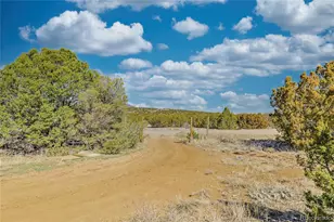 4178 Co Rd 504, Walsenburg, CO 81089 - Photo 28