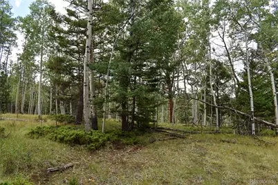 205 Timberline Drive, Guffey, CO 80820 - Photo 12