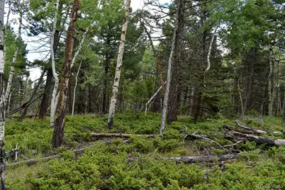 205 Timberline Drive, Guffey, CO 80820 - Photo 2