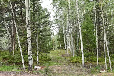 205 Timberline Drive, Guffey, CO 80820 - Photo 18