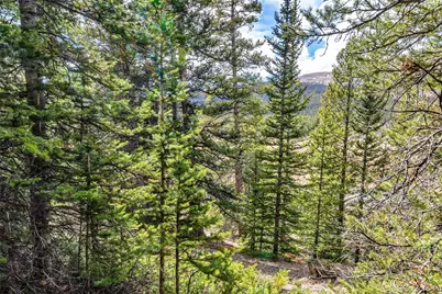 55780 Highway 9, Fairplay, CO 80440 - Photo 12