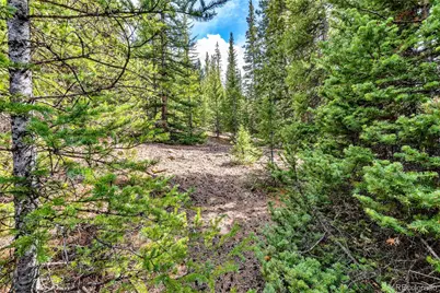 55780 Highway 9, Fairplay, CO 80440 - Photo 30