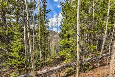55780 Highway 9, Fairplay, CO 80440 - Photo 34