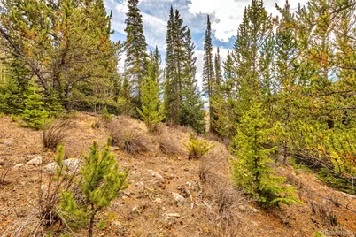 55780 Highway 9, Fairplay, CO 80440 - Photo 42