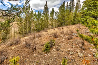 55780 Highway 9, Fairplay, CO 80440 - Photo 40