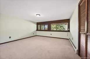 24386 Currant Dr, Golden, CO 80401 - Photo 38