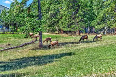 24386 Currant Drive, Golden, CO 80401 - Photo 50
