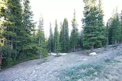 252 Silverheels Place, Fairplay, CO 80440 - Photo 2