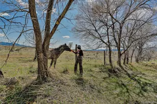 17055 Cr 81, Trinidad, CO 81082 - Photo 40
