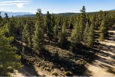 454 Spruce Drive, Leadville, CO 80461 - Photo 12