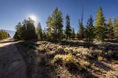 454 Spruce Drive, Leadville, CO 80461 - Photo 2