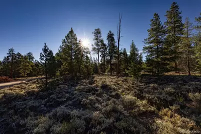 454 Spruce Drive, Leadville, CO 80461 - Photo 4