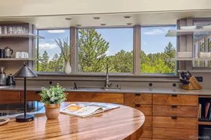 1323 S Snyder Gulch Rd, Evergreen, CO 80439 - Photo 10
