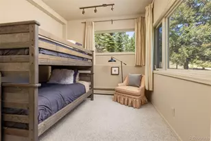 1323 S Snyder Gulch Rd, Evergreen, CO 80439 - Photo 38
