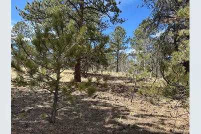147 Bordenville Road, Jefferson, CO 80456 - Photo 8