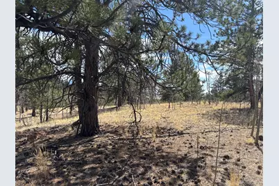 147 Bordenville Road, Jefferson, CO 80456 - Photo 6