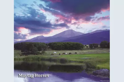 1768 Running Bear, Cotopaxi, CO 81223 - Photo 50