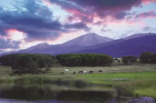 1768 Running Bear, Cotopaxi, CO 81223 - Photo 50