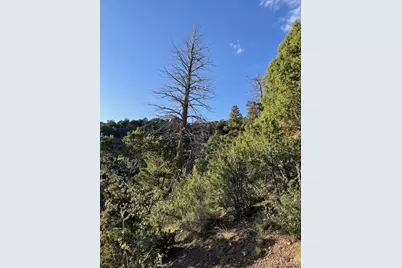 Lot 5693 Balleroy Road, San Luis, CO 81152 - Photo 8