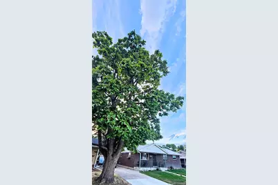 6721 Leyden Street, Commerce City, CO 80022 - Photo 2