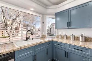 1494 Braewood Ave, Highlands Ranch, CO 80129 - Photo 12