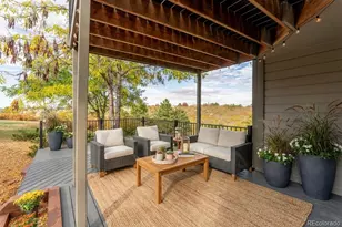 1120 N Bader Ct, Castle Rock, CO 80104 - Photo 4