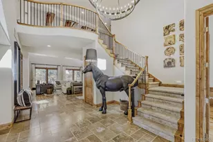 6999 Yampa Dr, Larkspur, CO 80118 - Photo 6