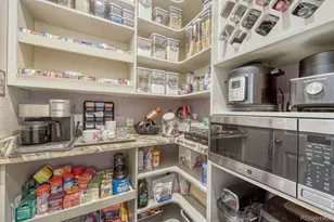 4647 Gray Wolf Ln, Castle Rock, CO 80104 - Photo 6