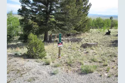 944 Brahma Circle, Hartsel, CO 80449 - Photo 2