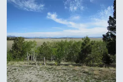 944 Brahma Circle, Hartsel, CO 80449 - Photo 6