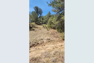 161 Ponderosa Lane, Cotopaxi, CO 81223 - Photo 20